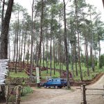 Wisata Alam Wonoasri Hutan Seper Kecamatan Jatipurno Kabupaten Wonogiri
